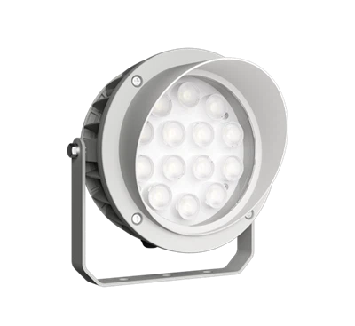 Backyard Ground Lights